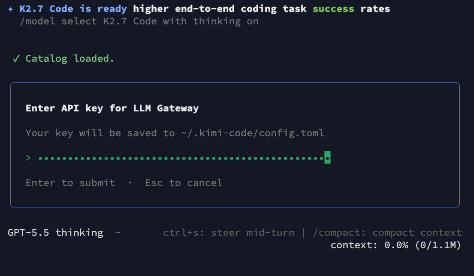 Entering LLM Gateway API Key
