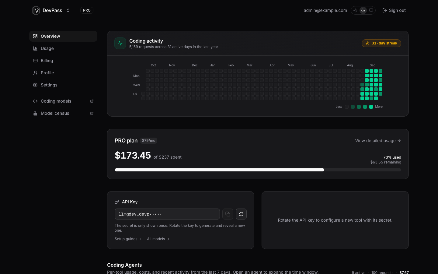 DevPass dashboard with coding activity, plan usage, and the API key