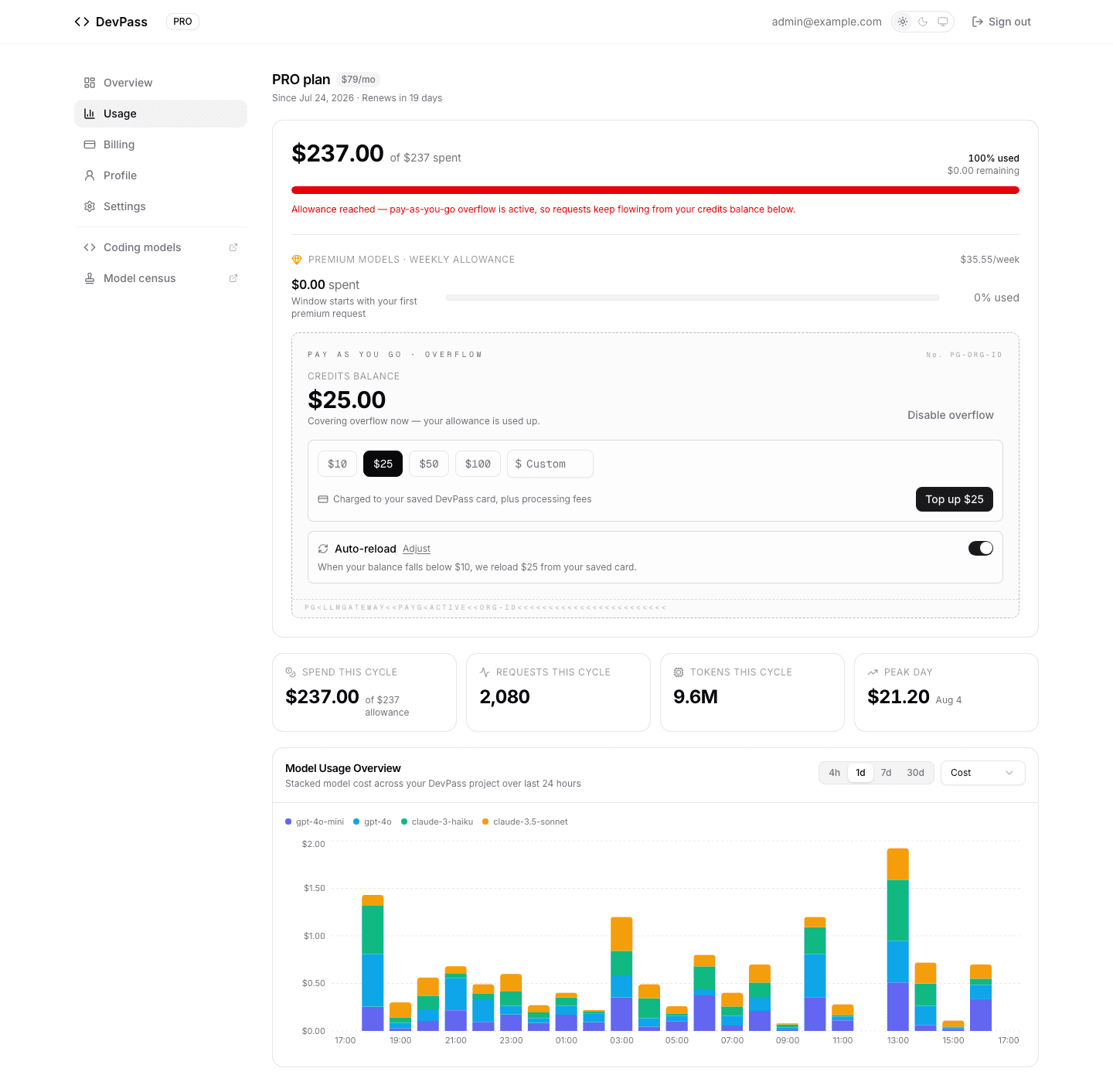 The DevPass Usage page with pay-as-you-go overflow enabled: exhausted allowance bar, credits balance, top-up presets, and auto-reload